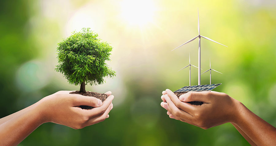 hand holding tree with turbine and solar panel. concept eco ener
